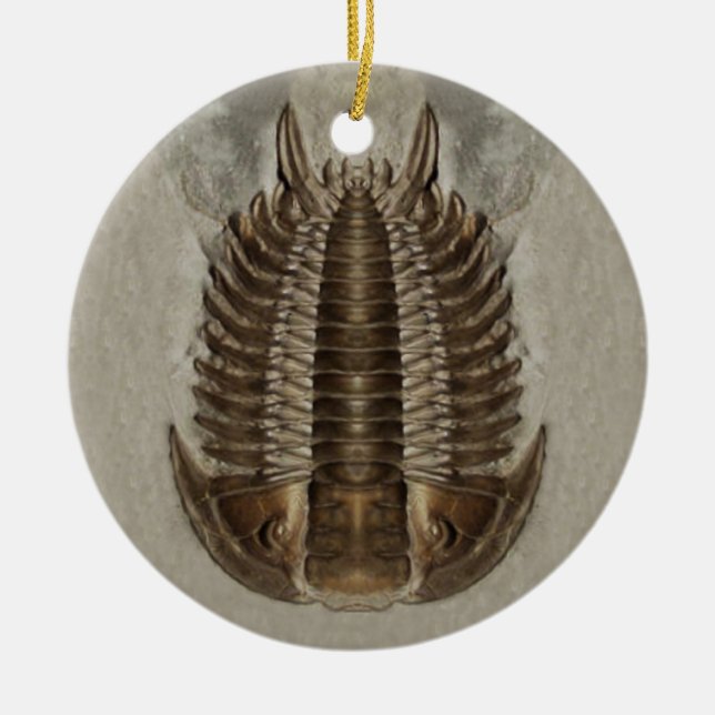 Trilobite Fossil Ornament (Front)
