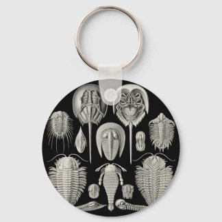Trilobite! Key Ring