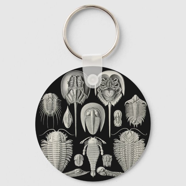 Trilobite! Key Ring (Front)