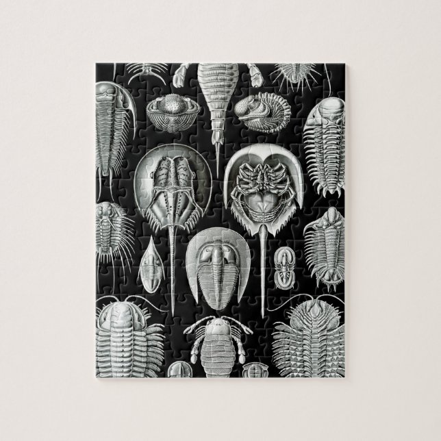 Trilobites and Fossils in Black and White Jigsaw Puzzle (Vertical)