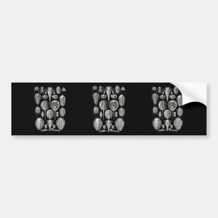 Trilobites and Sea Scorpions Bumper Sticker