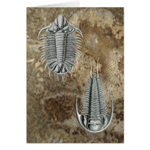 Trilobites Card