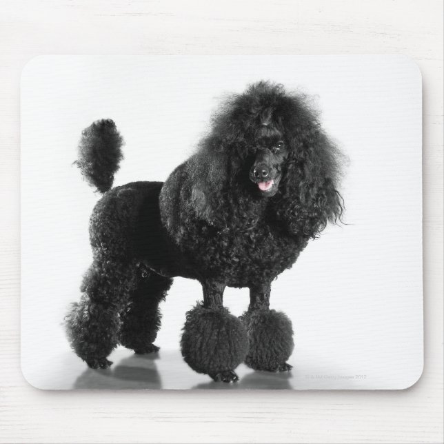 Trimmed black poodle mouse pad (Front)