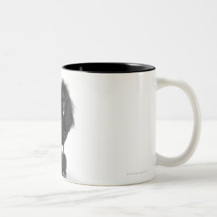 Trimmed black Poodle Two-Tone Coffee Mug