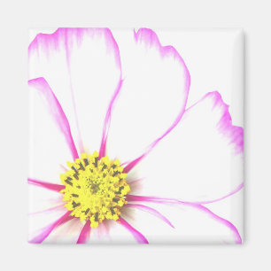Trimmed In Pink Magnet