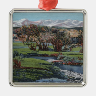 Trinidad, Colorado - Snowy Range & Valley View Metal Tree Decoration