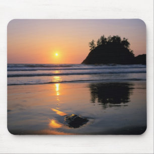 Trinidad State Beach, California. USA. Sea Mouse Pad