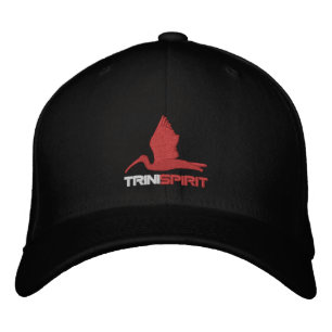 TRINISPIRIT® Flexifit Embroidered Cap