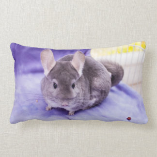 Trinket! - Chinchilla Pillow