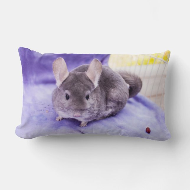 Trinket! - Chinchilla Pillow (Front)