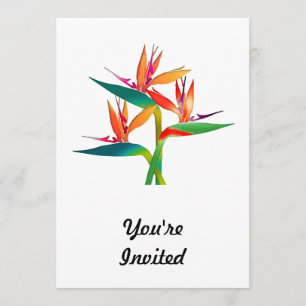 Trio of Birds of Paradise Invitation