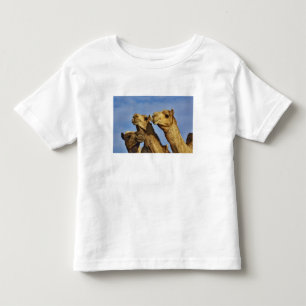 Trio of camels, camel market, Cairo, Egypt Toddler T-Shirt