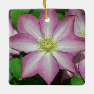 Trio of Clematis Pink and White Spring Vine Ceramic Tree Decoration