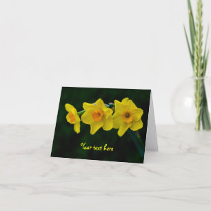 Trio of Daffodils Greeting card
