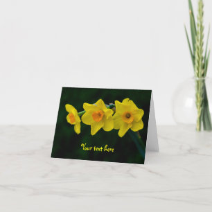 Trio of Daffodils Greeting card
