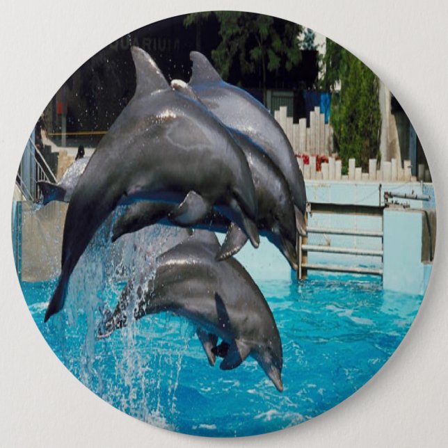 Trio-of-dolphins, button. 6 cm round badge (Front)