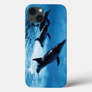 Trio of Dolphins iPhone 13 Case