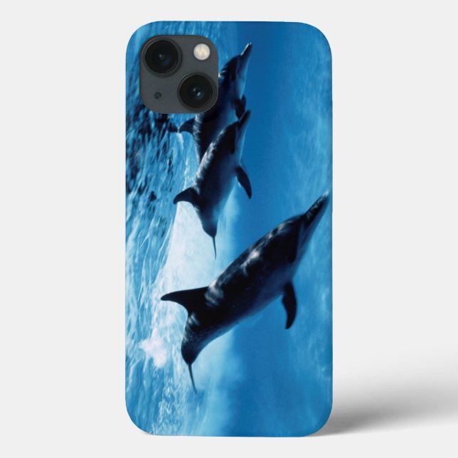 Trio of Dolphins Case-Mate iPhone Case (Back)