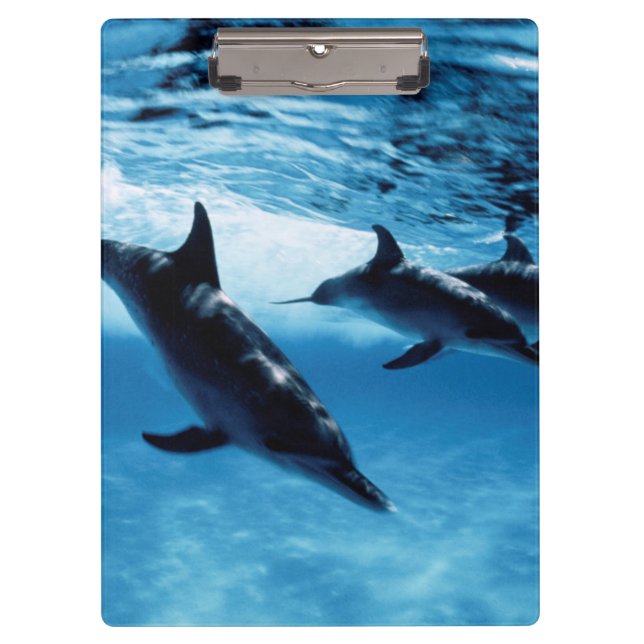 Trio of Dolphins Clipboard (Front)