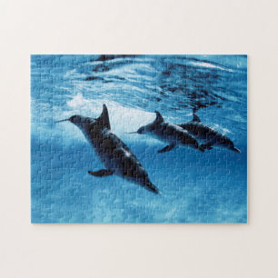 Trio of Dolphins Jigsaw Puzzle
