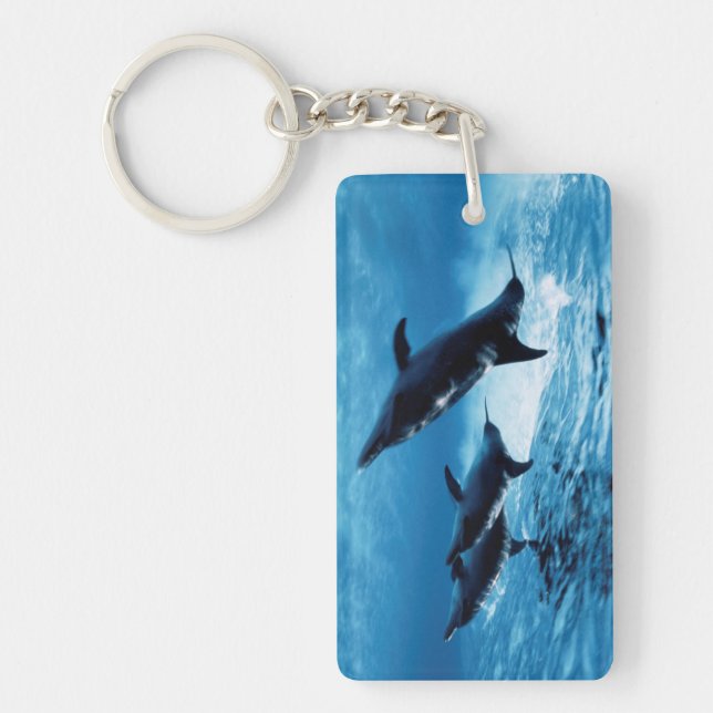 Trio of Dolphins Key Ring (Front)