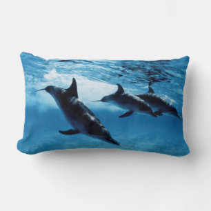 Trio of Dolphins Lumbar Cushion