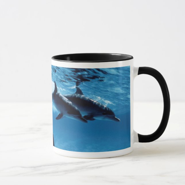 Trio of Dolphins Mug (Right)
