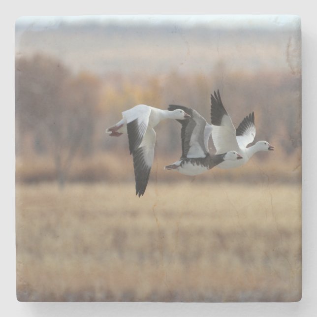 Trio Of Geese Stone Coaster (Front)