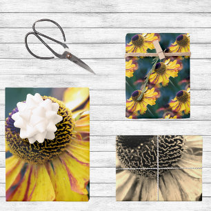 Trio of Gold and Purple Helenium Flowers  Wrapping Paper Sheet