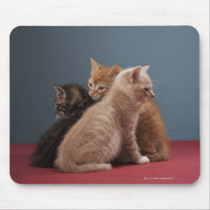 Trio of kittens mouse pad