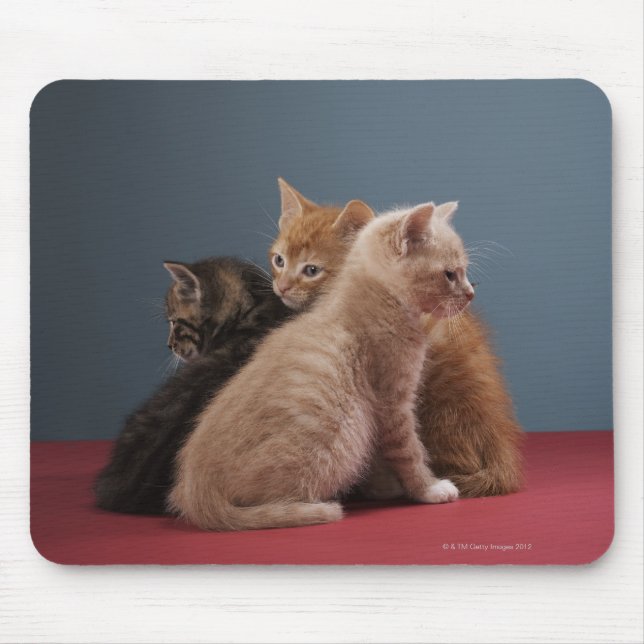 Trio of kittens mouse pad (Front)