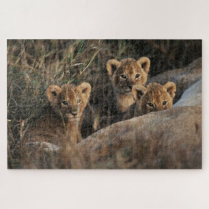 Trio of Lion Cubs with Mother Jigsaw Puzzle