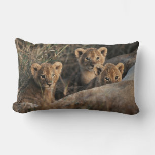 Trio of Lion Cubs with Mother Lumbar Cushion