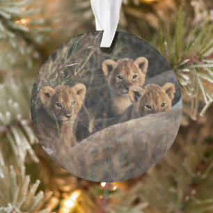 Trio of Lion Cubs with Mother Ornament