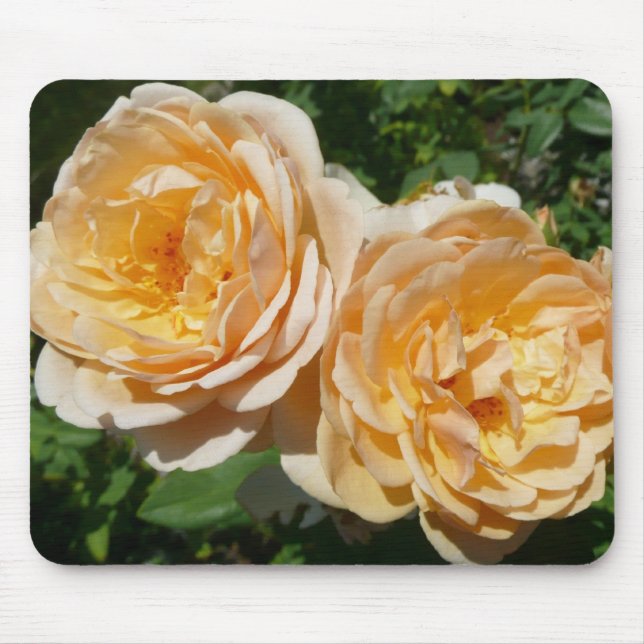 Trio of Peach Roses Floral Mouse Pad (Front)