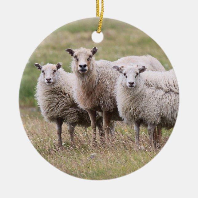 Trio of Sheep in Iceland Ceramic Tree Decoration (Front)