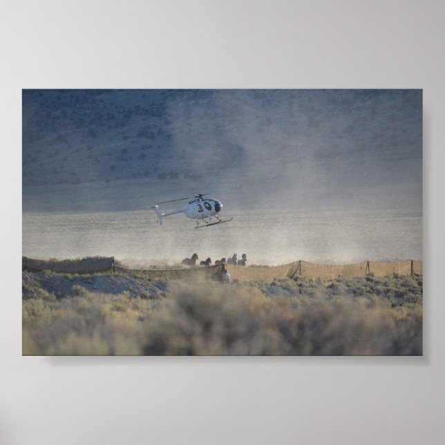 Triple B Round-up Butte Valley Nevada Poster (Front)