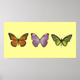 Triple Butterfly Poster Horizontal