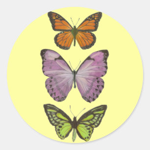 Triple Butterfly Sticker