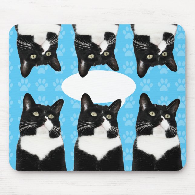 Triple Cute Kitty Funny Cat Epic Statement  Mouse Pad (Front)