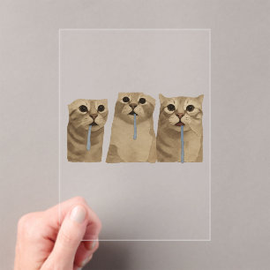 Triple Drooling Goofy Cats Meme Acrylic Invitations
