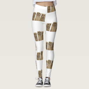 Triple Drooling Goofy Cats Meme Leggings