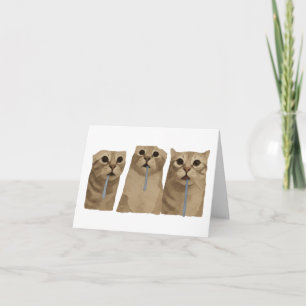 Triple Drooling Goofy Cats Meme Thank You Card