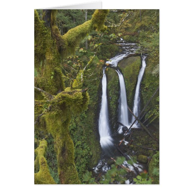 Triple Falls, Columbia River Gorge (Front)