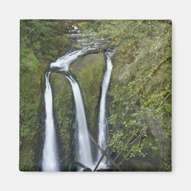 Triple Falls, Columbia River Gorge Magnet (Front)