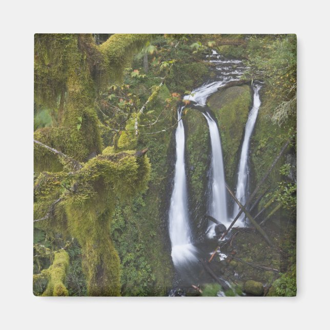 Triple Falls, Columbia River Gorge Magnet (Front)