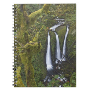 Triple Falls, Columbia River Gorge Notebook