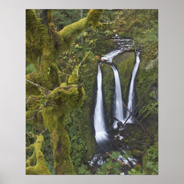 Triple Falls, Columbia River Gorge Poster (Front)