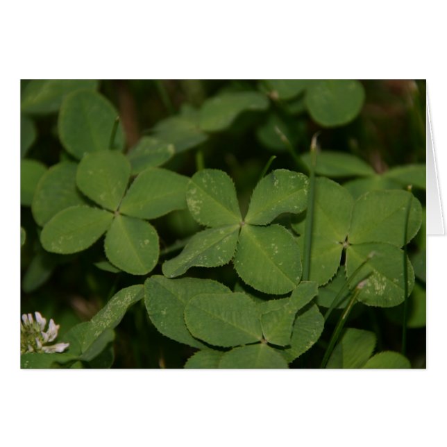 Triple Luck card (Front Horizontal)