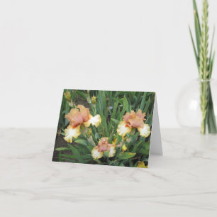 Triple Peach Small Note Card